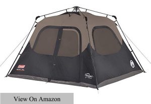 Coleman 6 Person Instant Tent