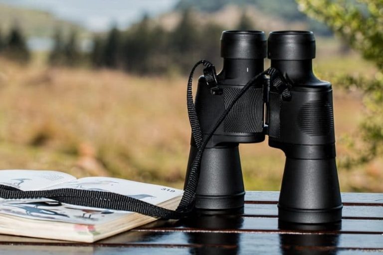 Choosing a pair of binoculars that you will love The Ultimate Guide