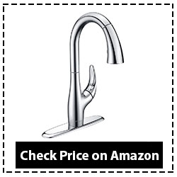 Purelux Calla Kitchen Sink Faucet