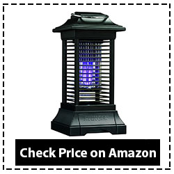 Stinger Cordless Rechargable Insect Zapper