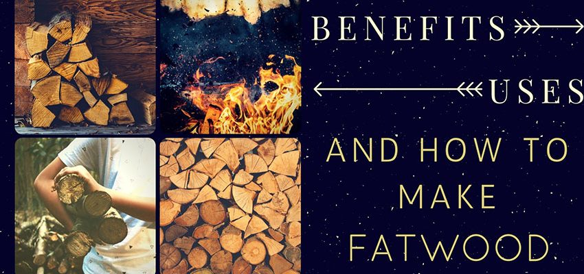 Learn How To Make Fatwood