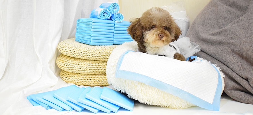 Best Puppy Training Pads 2020, 10 Dog Pee Pad Reviews ...