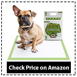 Pogi's Pet Supplies Dog Training Pads